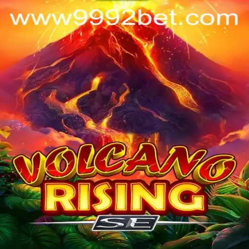 9992bet PH Login Online Bingo